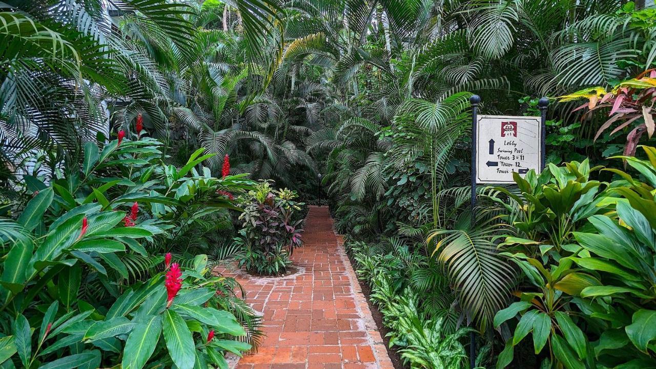 Willa Marbella Puerto Vallarta Zewnętrze zdjęcie